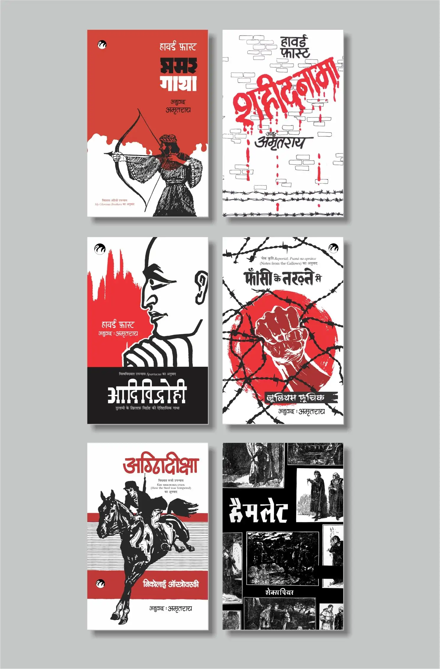 Amrit Rai Translations